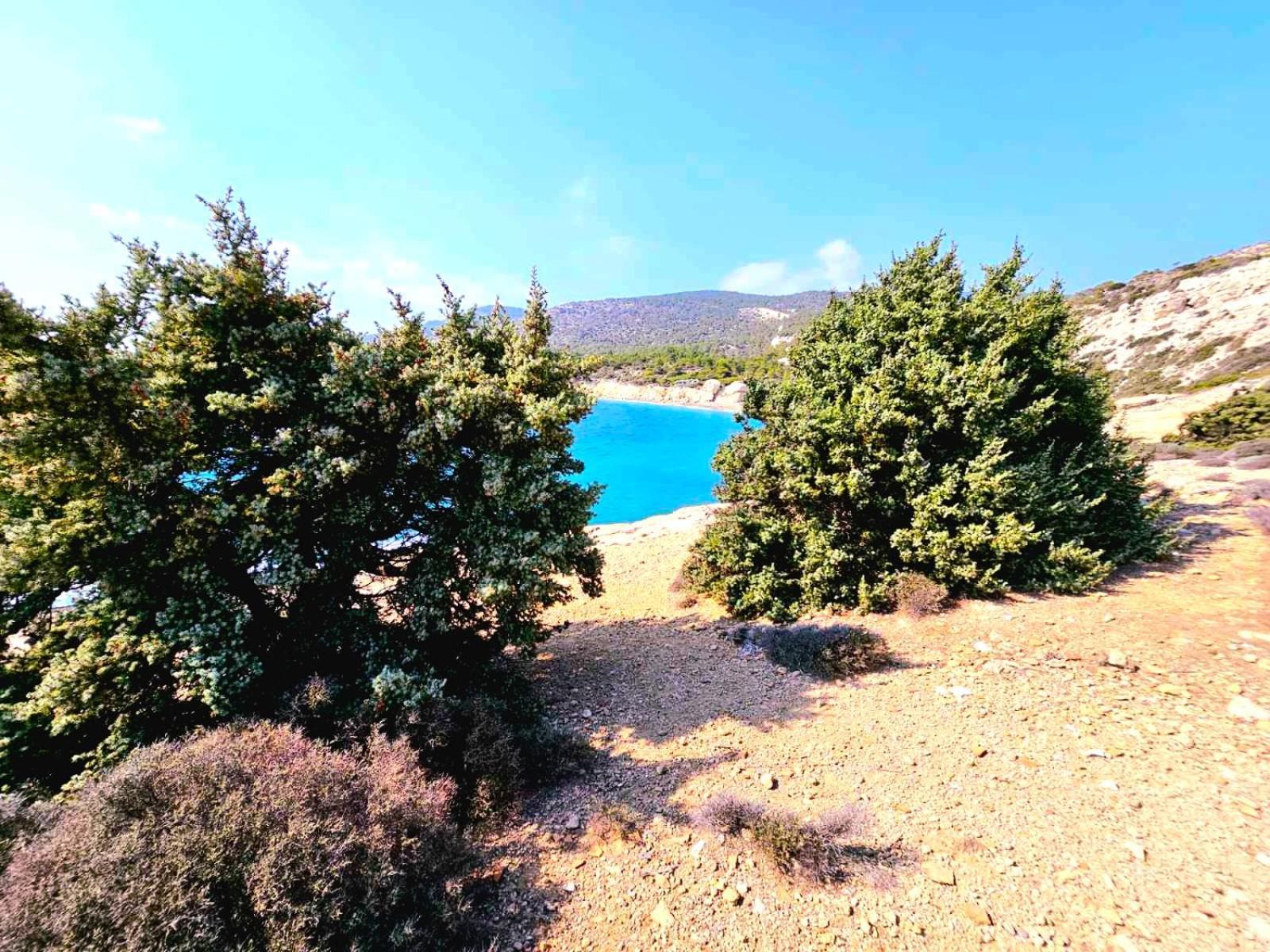 Lucidum Rhodian Hospitality & Gastronomy