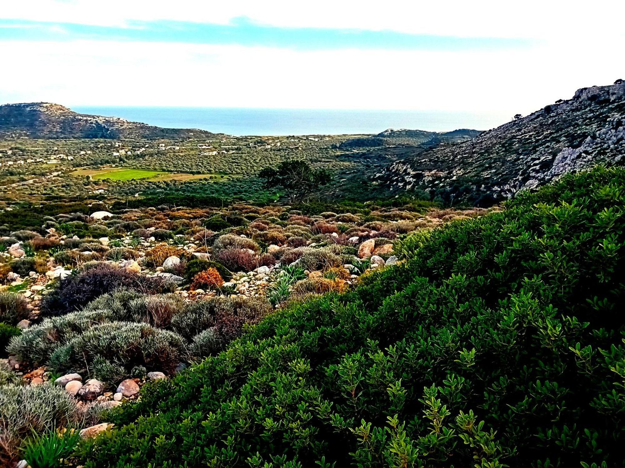 Lucidum Rhodian Hospitality & Gastronomy